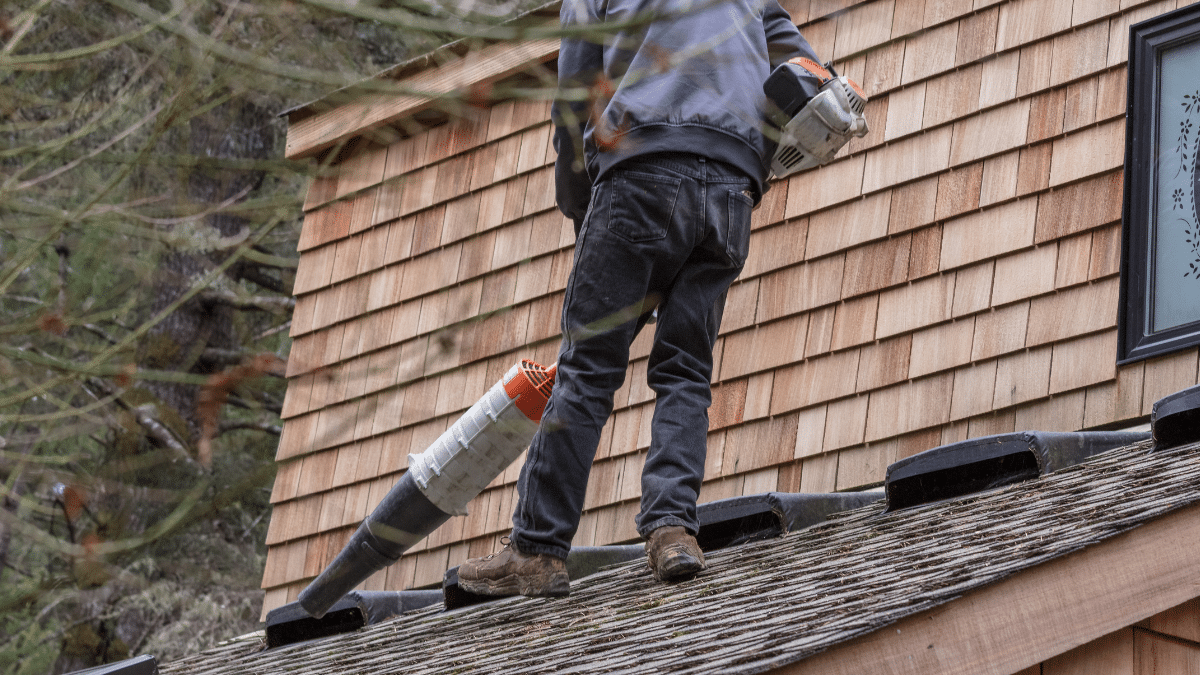 asphalt shingle roof cleaning before after