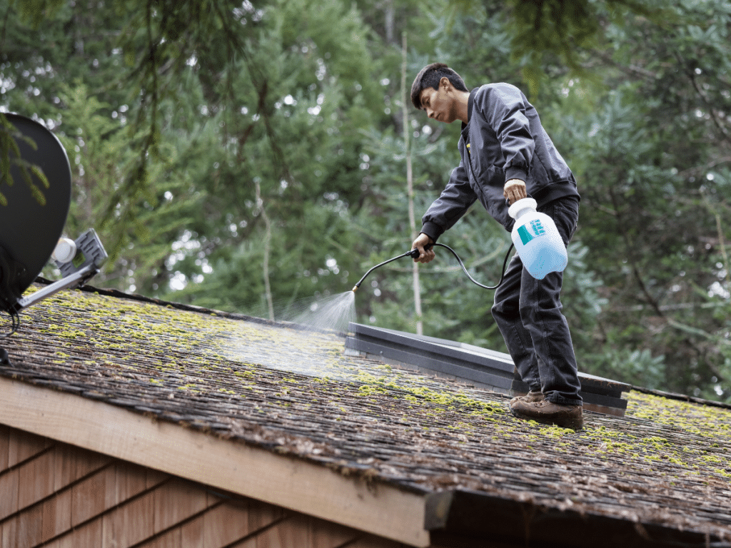 asphalt roof cleaning