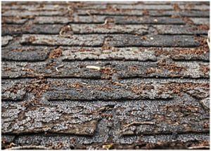 free inspection, cracked shingle, roof replacement, roof repair, roof inspection, roofing contractor