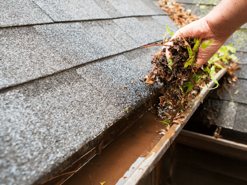 gutters full of debris needing to be cleaned roof gutter clogge