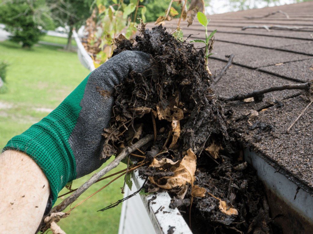 to much granular in your gutters in a sign you need a new roof *c