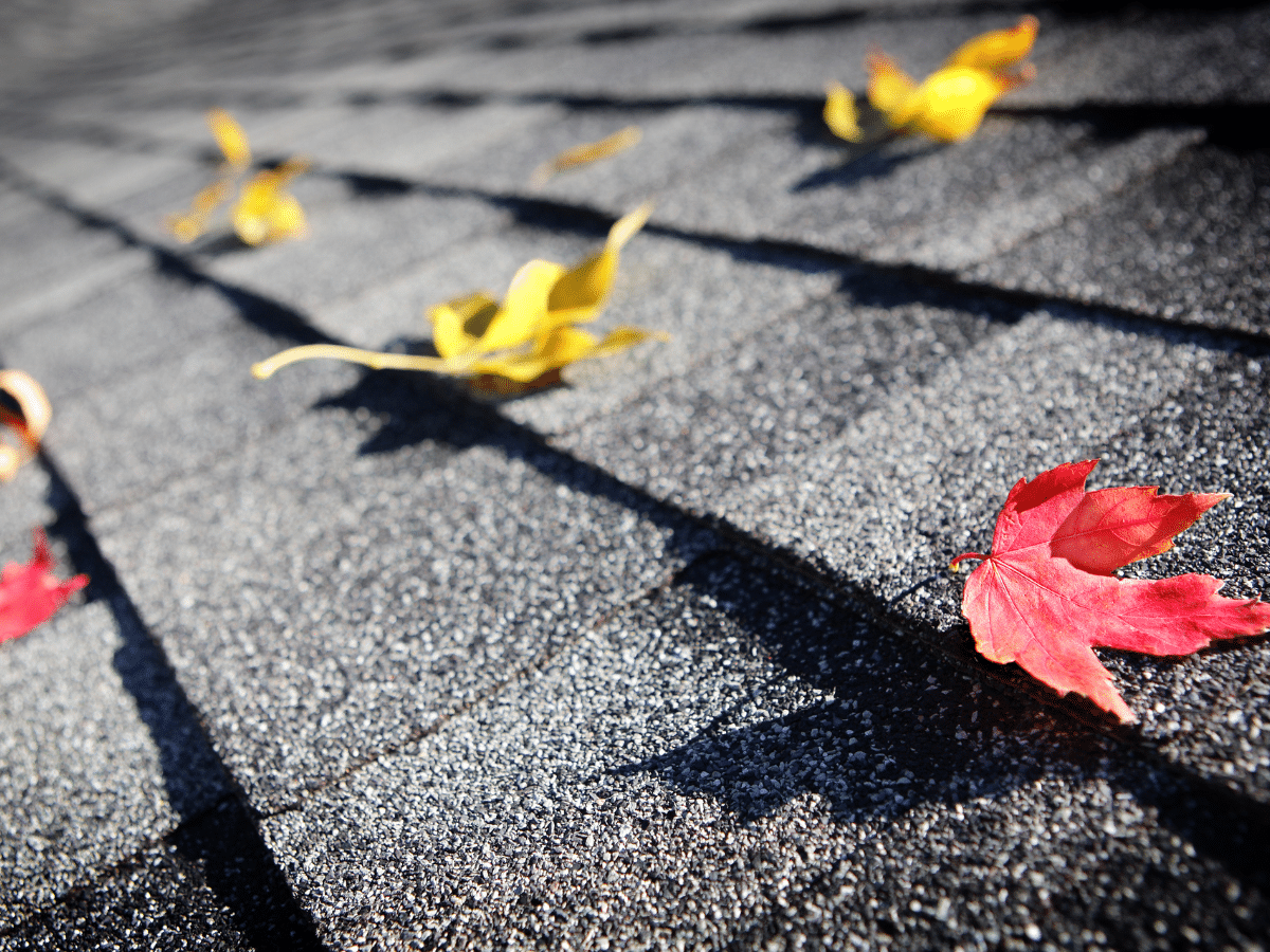 GAF shingles with leaves on them