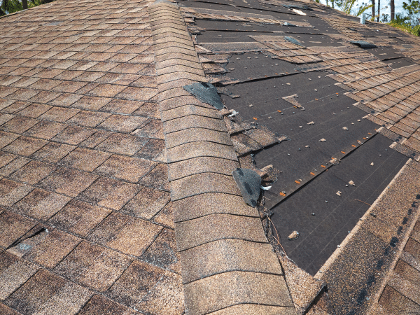 Old damaged roof that needs roof replacement